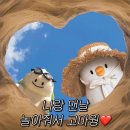 재재 STAY | 안되면 그냥 웃어버리고 또 하면 되지 뭐 (8)