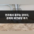 꿈꾸는강아지 | 전주에서 꿈꾸는 강아지, 온퍼피 애견분양 후기