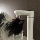 키미스 키친 | [내돈내산] 삼성 키친핏 냉장고·삼성 비스포크 식기...빌트인 정수기 실사용 후기(LG 가계약 후 삼성...