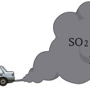 플랜 피트니스 이미지