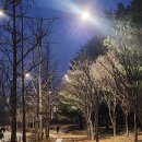 공암나루근린공원 | 서울 걷기 좋은 길 강서구 공암나루근린공원 밤 걷기