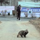 생츄어리