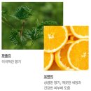 니즈굿 이미지