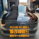 부산 팰리세이드 썬팅 추천! 버텍스900으로 완성한 신차패키지