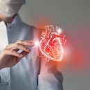 the Fitness LAB 이미지