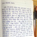 기꺼이 사랑이라 부르자 / 꼭대기의 수줍음 - 정한경 이미지