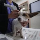 일산종로동물병원 이미지