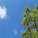 도신농장 이미지