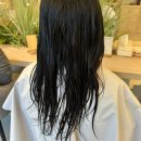 꾸밈 | 꾸밈 판교 헤어 클리닉 재방문 후기 수호 디자이너