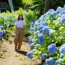 해남잔치국수
