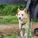 쭌이하우스 이미지