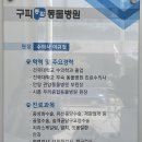 구피동물병원 | 서산 구피 동물병원 방문 후기/동물 병원 정착 완료✨
