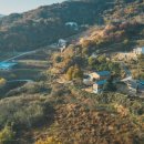 노고마주 이미지