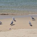 호텔엑스1 이미지