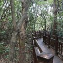 제주 돈내코