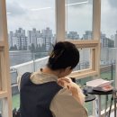 클로버 애견미용 이미지