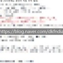 보블리스튜디오