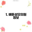 배둔성모의원 이미지