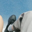 서포트몰 | 베러핏몰 아치깔창 발 아치서포트 깔창 기능성깔창 발아치패드