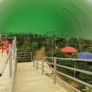 (주)티피팜 이미지