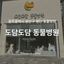 도담도담동물병원 이미지