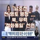 평화·통일 허상에 허우적대는 자들이여 이 땅을 떠나라. 이미지