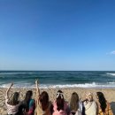 바다여행 이미지