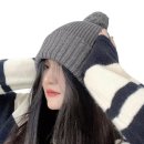 G4580 이미지