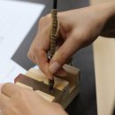 충주중앙초등학교 이미지