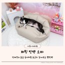 자연속의 펫 | 퍼핑 펫빈백 다견가정 강아지가 먼저 눕는 강아지소파 후기