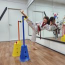 광명연세정도태권도장 이미지