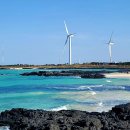 호텔1(호텔원) | 제주 휘슬락호텔 솔직후기📍9만원대 가성비호텔