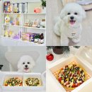 멍개식당 | 강아지 수제간식 만들기 ! 너무너무 재밌었던 의정부 멍개식당 🐶