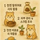 그냥 버리지 마세요! 커피찌꺼기의 반전