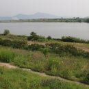 육신사(구) 이미지