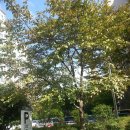 남양태양광발전소 이미지