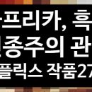 한 달 간의 심화 학습 기간에 본 [아프리카, 흑인, 인종주의] 관련 넷플릭스 작품 27편!