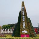 방포비치 이미지