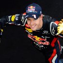 붉은황소 이미지