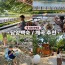 담양 한재골 계곡) 한재골 백숙 느티나무 아래서 방문 후기!