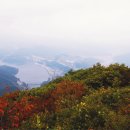 [주말산행코스ㅣ충청도의 산] 두악산 727m 충북 단양군 단성면 이미지