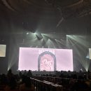 군민의 날 헬로콘서트 좋은날 | 엔시티위시 콘서트 <Into the wish : Our wish>고베 _ 네 저 아이돌 보러 일본까지 갔습니다