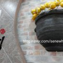 시루향기(안산중앙점)