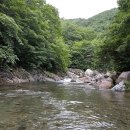 희정분식