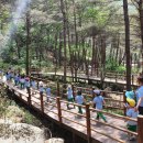 거창 항노화 힐링랜드 자연휴양림 이미지