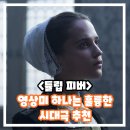 (주)피버엔터테인먼트 | 튤립 피버 정보 출연진 줄거리 결말 리뷰 후기 시대극 영화 추천