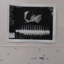 오경섭 이미지