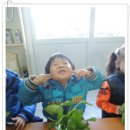 중보뜰 이미지