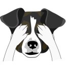 수원시동물보호센터 동물병원 이미지