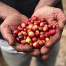 커피에빠지다 이미지